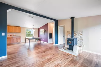 696 Calle De La Nieva, Florissant, CO 80816 - Photo 17