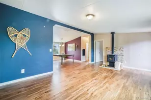 696 Calle De La Nieva, Florissant, CO 80816 - Photo 15