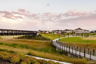 8518 E 54th Pl, Denver, CO 80238 - Photo 47