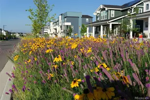 8518 E 54th Pl, Denver, CO 80238 - Photo 37