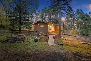 27131 Log Trail, Conifer, CO 80433 - Photo 29