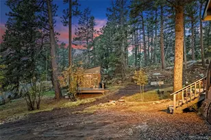 27131 Log Trail, Conifer, CO 80433 - Photo 27