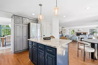 8927 Green Meadows Lane, Highlands Ranch, CO 80126 - Photo 19