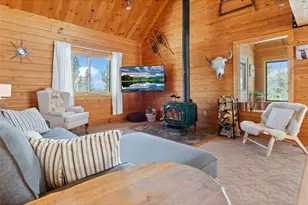 1666 High Creek Rd, Fairplay, CO 80440 - Photo 17