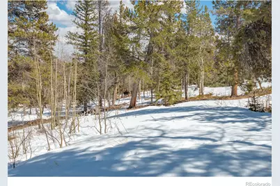 1666 High Creek Road, Fairplay, CO 80440 - Photo 41