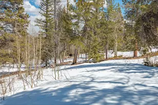 1666 High Creek Rd, Fairplay, CO 80440 - Photo 41