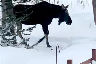 1666 High Creek Rd, Fairplay, CO 80440 - Photo 13