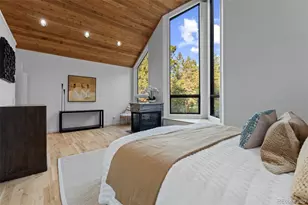 5396 Bear Mountain, Evergreen, CO 80439 - Photo 19