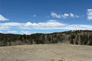 2327 Warrior Cir, Como, CO 80432 - Photo 23