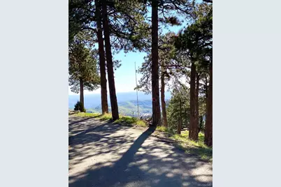 24999 Grandview Avenue, Golden, CO 80401 - Photo 41