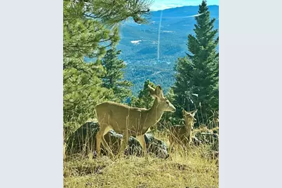 24999 Grandview Avenue, Golden, CO 80401 - Photo 35