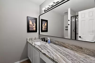 907 Riddlewood Lane, Highlands Ranch, CO 80129 - Photo 19