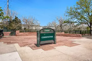 1438 Little Raven St, Denver, CO 80202 - Photo 29