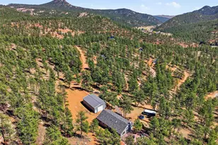16687 Ouray Rd W, Pine, CO 80470 - Photo 25