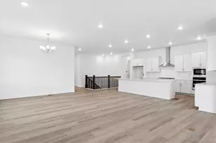 1693 Green Fern Pt, Castle Rock, CO 80104 - Photo 9