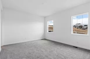 1693 Green Fern Pt, Castle Rock, CO 80104 - Photo 13