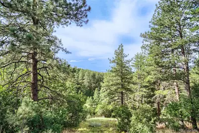10996 Deerfield Road, Franktown, CO 80116 - Photo 7