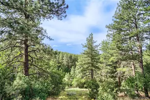 10996 Deerfield Rd, Franktown, CO 80116 - Photo 7