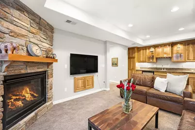 2521 Alton Street, Denver, CO 80238 - Photo 31
