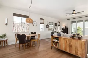 6621 Compelling Pt, Parker, CO 80134 - Photo 15