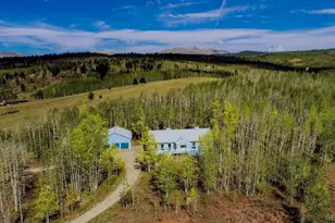 331 Canthook Ln, Fairplay, CO 80440 - Photo 1