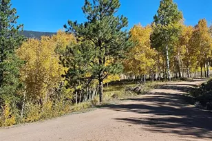 7275 CO-9, Guffey, CO 80820 - Photo 3