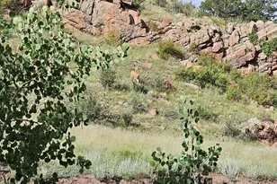 7275 CO-9, Guffey, CO 80820 - Photo 17