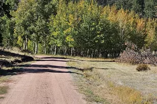 7275 CO-9, Guffey, CO 80820 - Photo 5