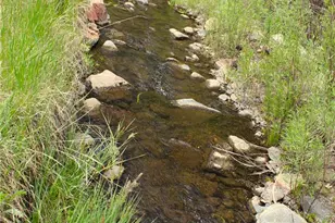 7275 CO-9, Guffey, CO 80820 - Photo 15