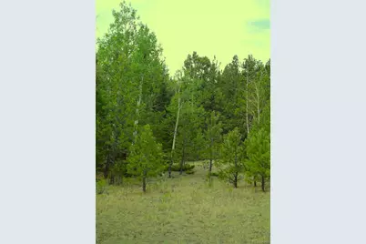 7275 Co-9, Guffey, CO 80820 - Photo 11