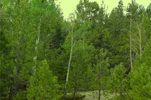 7275 CO-9, Guffey, CO 80820 - Photo 11