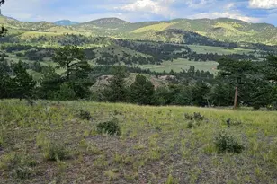 7275 CO-9, Guffey, CO 80820 - Photo 13