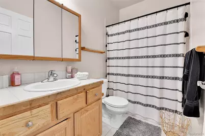 125 El Lobo Lane, Bailey, CO 80421 - Photo 21