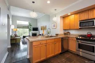 1705 Gaylord Street, Denver, CO 80206 - Photo 5