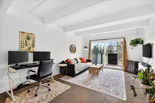 1265 Race St, Denver, CO 80206 - Photo 11