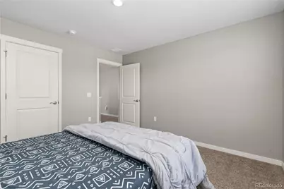 17308 Red Cosmos Point, Parker, CO 80134 - Photo 23