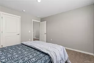 17308 Red Cosmos Pt, Parker, CO 80134 - Photo 23