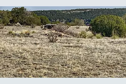 Lot 80 Turkey Ridge Ranch, Walsenburg, CO 81089 - Photo 3