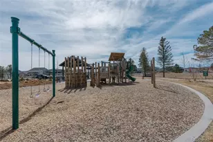 5647 Palmia Ln, Parker, CO 80134 - Photo 37