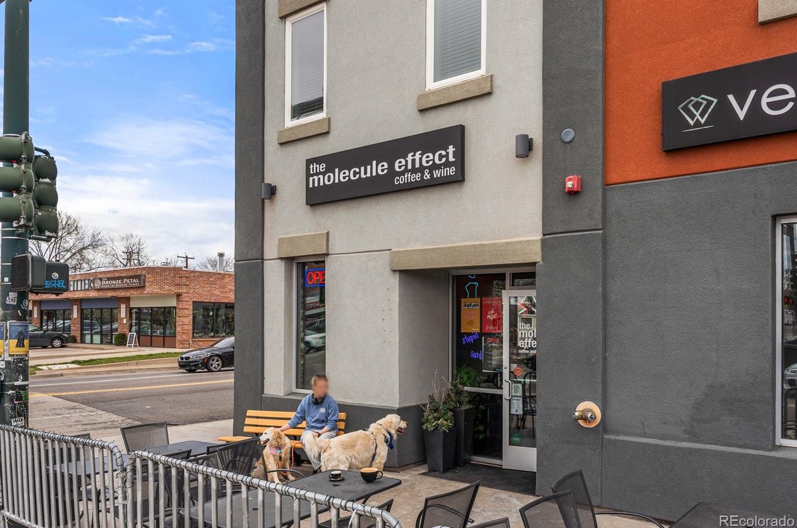 247 Alameda Ave, Denver CO  80209-1703 exterior