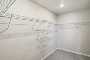 1216 Spg Crk Dr, Windsor, CO 80550 - Photo 31