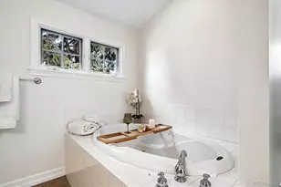 1142 S Columbine St, Denver, CO 80210 - Photo 23