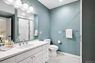 1142 S Columbine St, Denver, CO 80210 - Photo 35