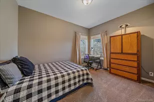 147 Overlook Dr, Bailey, CO 80421 - Photo 27