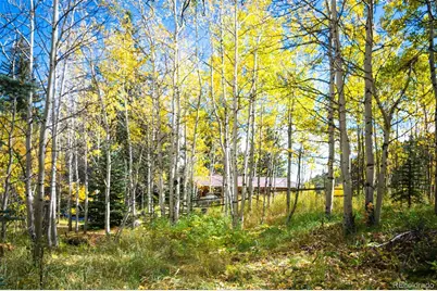 531 Caribou Road, Nederland, CO 80466 - Photo 19