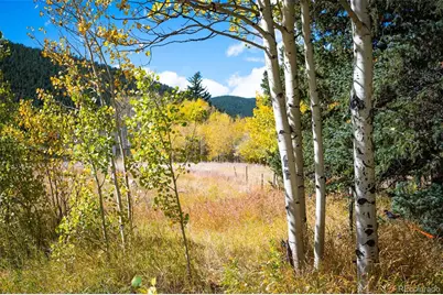 531 Caribou Road, Nederland, CO 80466 - Photo 21