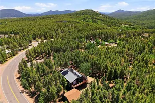 31556 Griffin Dr, Conifer, CO 80433 - Photo 39