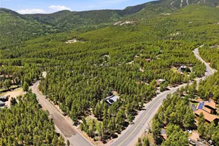 31556 Griffin Dr, Conifer, CO 80433 - Photo 41