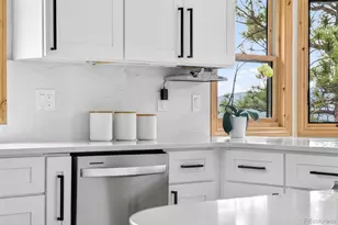 69 Spruce Ct, Evergreen, CO 80439 - Photo 17