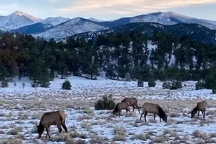 11648 Co Rd 45, Coaldale, CO 81222 - Photo 45